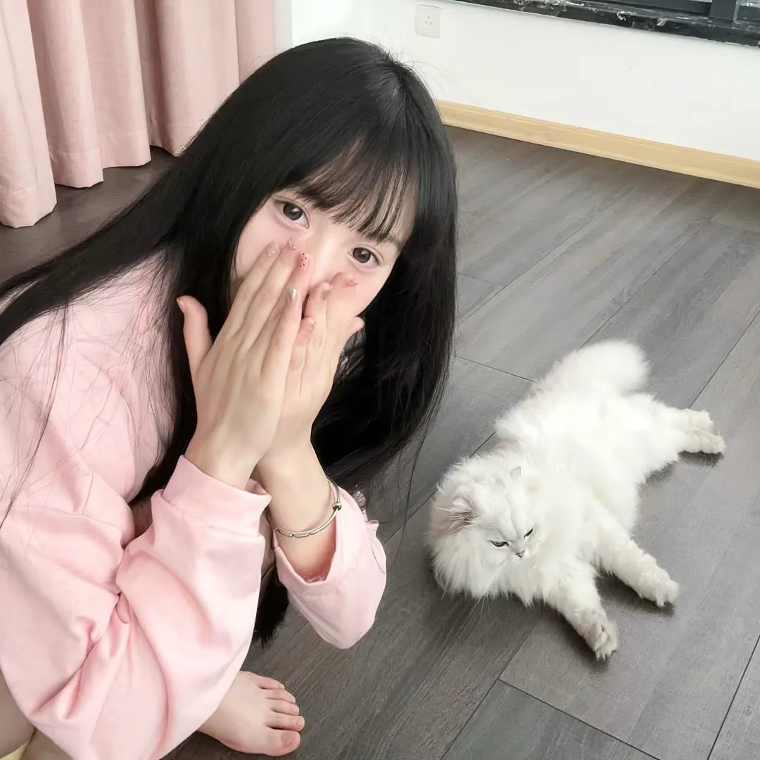 横滨夏日合奏 2